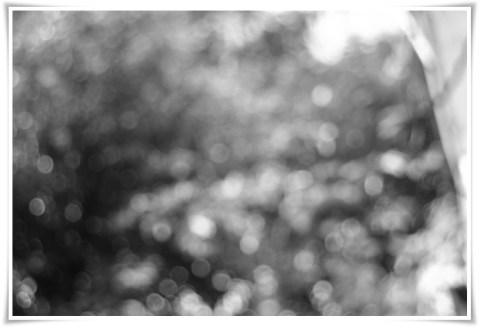 _DSC0412