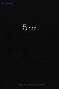 5cm